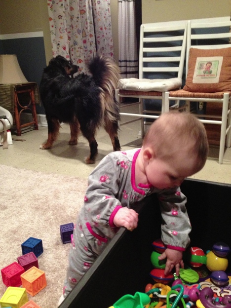 Discovering that standing makes it a lot easier to get things out of the toy box...meanwhile, Brody could care less.