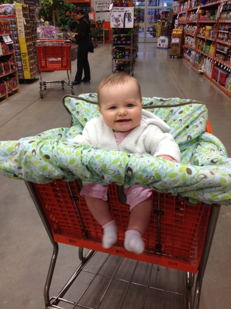 Now that she's in a big-girl car seat, she gets to ride in shopping carts like a big girl. Her first such outing? Home Depot, of course.